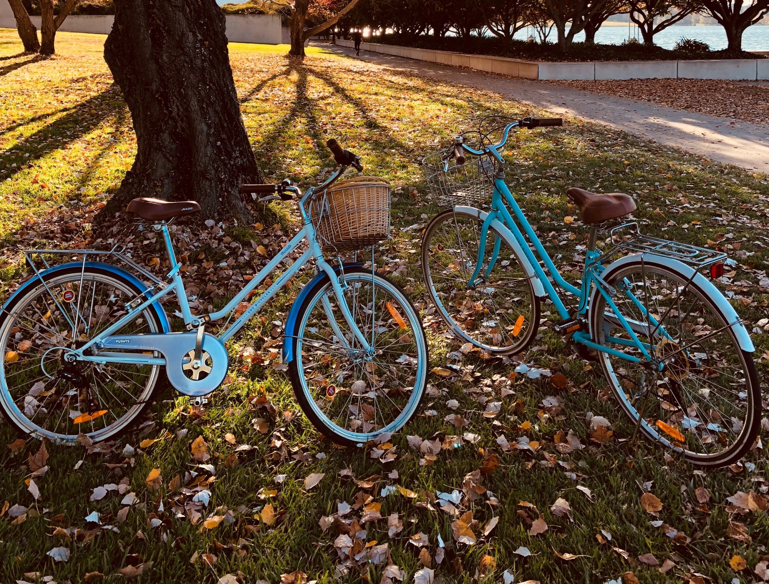 nolleggio bici barcellona